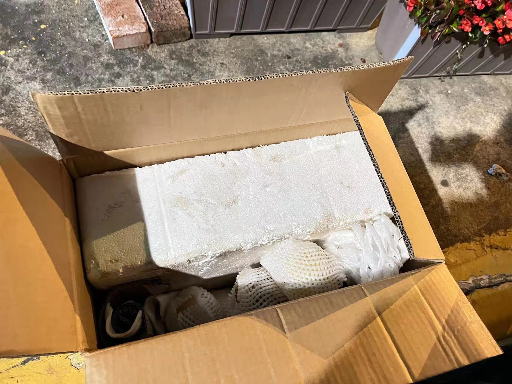 1666857174684416.jpg 馬德偵攝4.jpg