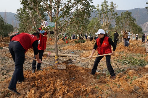 臺州所 植樹現(xiàn)場3_副本.jpg